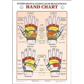 Reflexology Hands Chart - Laminated