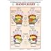 Reflexology Hands Chart - Laminated