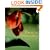 Paraiso Mexicano: Gardens, Landscapes, and Mexican Soul