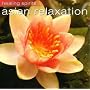 Asian Relaxation