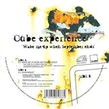 Wake Me Up When September Ends [12 inch Analog]