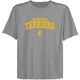 NCAA Wofford Terriers Youth Ash Logo Arch T-shirt