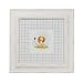 Lion Framed Print
