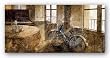 Interior by Noemi Martin 36"x18" Art Print Poster