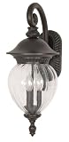 Nuvo 60/786 Arm Down Wall Lantern with Clear Melon Seed Glass, Chestnut Bronze