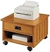 Craftsman Printer Cart 15"hx20.5"w Light Oak