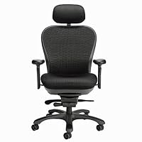 HeavyDuty High Back Mesh Ergonomic Chair with Headrest Black Fabric/Black Mesh Back/Graphite Frame
