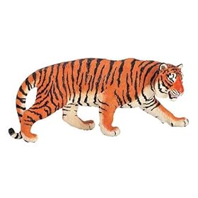 Vanishing Wildlife- Siberian Tiger Male