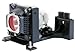 BenQ DS660 LCD Projector Assembly with Original Bulb