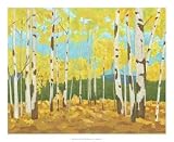 Western Vista II - Chariklia Zarris Art Print Poster 22 x 18