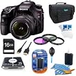Sony Alpha A65 SLT-A65VK A65VK SLTA65 24.3 MP Translucent Mirror Digital SLR With 18-55mm Lens BUNDLE with 16GB Card, Spare Battery, 57 in 1 Card Reader, 3 Piece Filter Kit, Deluxe Case, LCD Screen Protectors, Lens Cleaning Kit, Dust Blower, Mini HDMI Cab