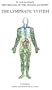 The Lymphatic System (Organs of the Human Anatomy) (Systems of Human Anatomy)