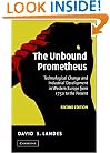 The Unbound Prometheus: Technological Change and Industrial Development in Western Europe from 1750 to the Present