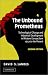 The Unbound Prometheus: Technological Change and Industrial Development in Western Europe from 1750 to the Present