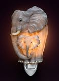 Flowers of Light Night Lights Elephants Ibis & Orchid Design