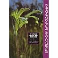 Kangaroo paws and catspaws: A natural history and field guide