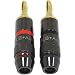 Say Goodbye to Baldness with Home Audio 417RDF7QaNL. SL75 Say Goodbye to Baldness with Home Audio