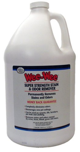 feces with blood. feces, grass, lood, dirt,