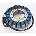 ElectroSport Stator - Electrosport Kawasaki - 151069