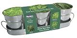 from Taylors Taylors Windowsill Herb Kit: Rosemary, Sage & Thyme