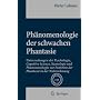 Ph�nomenologie der schwachen Phantasie: Untersuchu&hellip von Dieter Lohmar