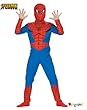 Spider Man Standard Child Costume