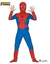 Spider-Man Standard Kids Costume