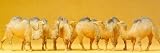 Preiser 20383 Camels (6)