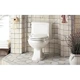 Antiquity One Piece Elongated Toilet Finish: Silver