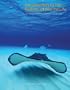 Introduction to the Biology of Marine Life