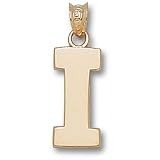 University of Illinois Block I 5/8 Pendant (14kt)