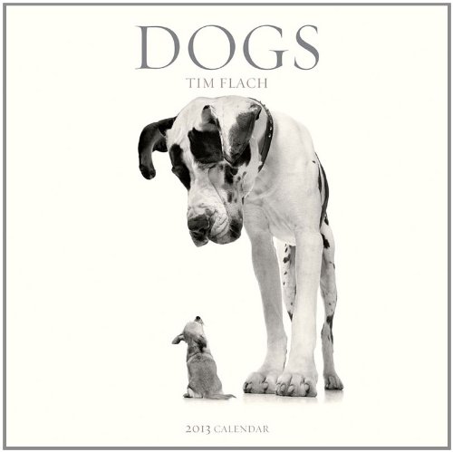 Dogs 2013 Wall Calendar