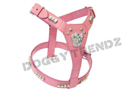 harness for staffy