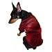 Playboy Hef Robe Pet Costume Adult (Small)