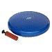 Fit Balance Disc