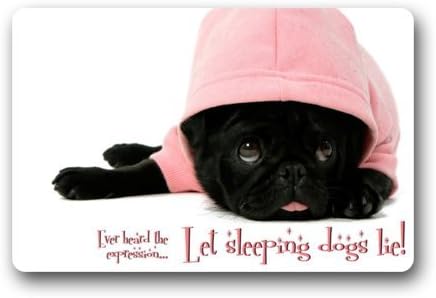 Door Mat Cute Pug Durable Heat-23.6"(L)x15.7"(W) 3/16" Doormat
