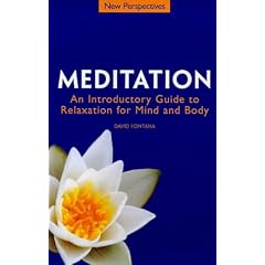 New Perspectives: Meditation