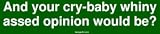 And your cry-baby whiny assed opinion would be? Bumper Sticker