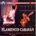 Flamenco
