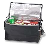 Trunk Cooler