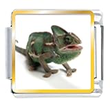 Green Iguana Animal Photo Italian Charms Bracelet Link