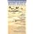 Desert Blues Vol. 2: Reves d Oas