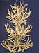 18 Lite Triple Tier Mule Deer Chandelier