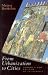 From Urbanization to Cities: Toward a New Politics of Citizenship (Cassell Global Issues Series)