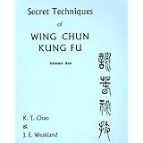 Secret Techniques of Wing Chun Kung Fu: Sil Lim Tao (Vol 1)