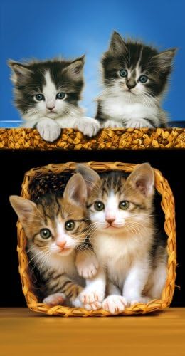 Kitty Cat Towel Wonder Beach Towel Basket New