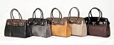 Designer Inspired Medium Luxury Elegant Fashion Smooth Shiny Satchel Handbag Tote Purse