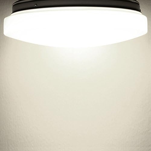 Pepnice 6W 300lm Flush Mount Lighting , 4000K Natural White Ceiling Light, Replace 40W Incandescent Light, Equivalent to 12W CFL Light, for Dining Room, Living Room, Factory Price ODM & OEM for Three of the World First-class Led Lighting Brands (6 Watts)