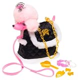 Review MATTEL B9798 / BARBIE POSH PETS RAQUELLE