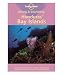 D & S Honduras' Bay Islands (Diving & Snorkeling)